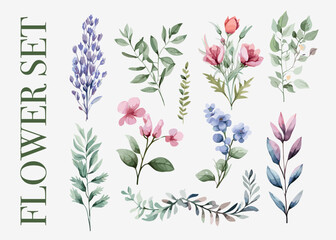 Watercolor Flower and Leaves Set