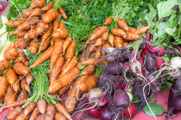 Carrots, radish and beetroot for sale at a market