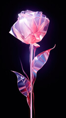 Glass pink rose on black background