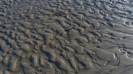 The seabed was exposed at low tide. Wet wavy sand surface. Puddles of water between the twisted ridges. Close-up. Top view. Madagascar. Full screen.