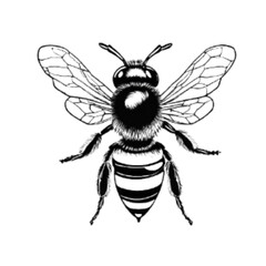 bee illustration design with black color, transparent background, generative ai