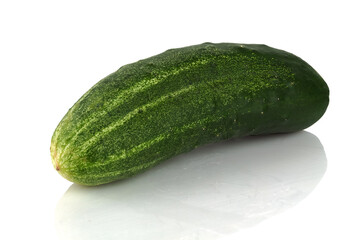 cucumber on a white background