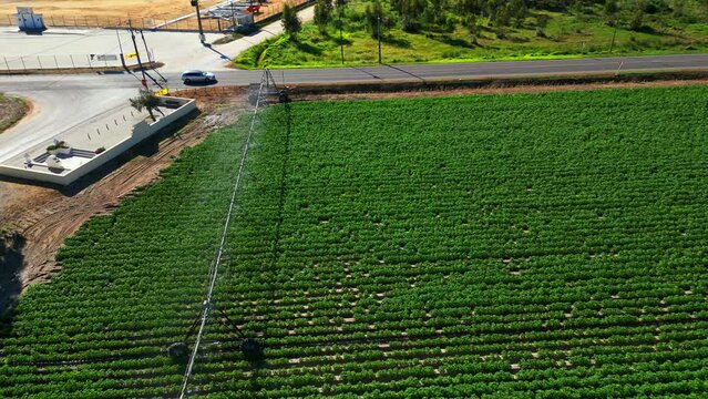 Aerial view from a  potato field with the irrigation system running near the road with cars passing,Portugal
