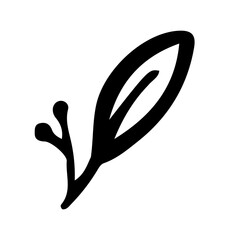 Floral Hand drawn Element