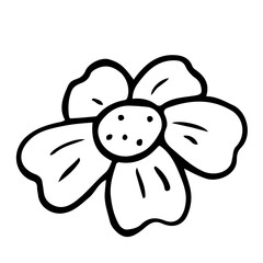 Floral Hand drawn Element