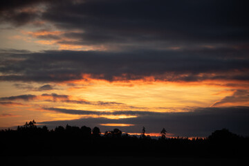 Fototapeta premium Golden Serenity: Majestic Rural Summer Landscape Awakens at Sunrise in Northern Europe