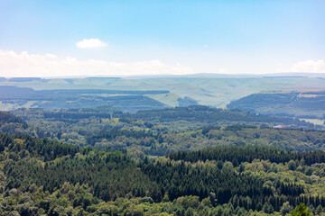 Green forest in the mountains in summer. View from above