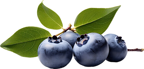 Blueberries isolated over transparent background.