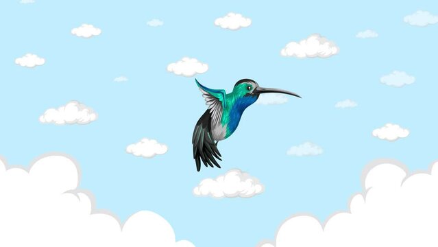 Bee Hummingbird flying on cloud blue sky and fly away