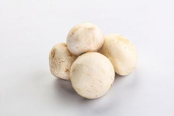 Natural organic ripe champignon mushrooms
