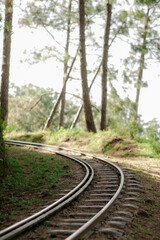 Fototapeta premium railway in the woods