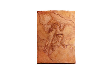 Archaeopteryx, Primeval Bird fossil on sandstone from the Jurassic era isolated on white background. Urvogel. 