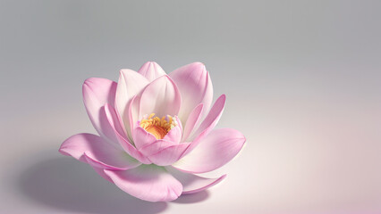 Flower Wallpapers No.109