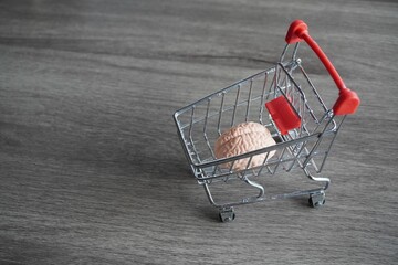 A human brain inside shopping carts. Consumer behavior, impulse buying and shopping addiction...