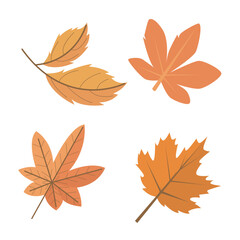 autumn leaves collection