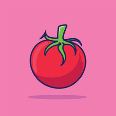 Tomato fruit vegetable vector illustration food nature concept