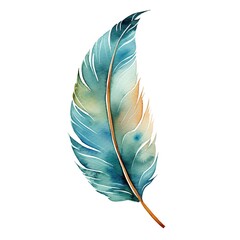 Colorful watercolor illustration of a feather. Isolated clipart on white background