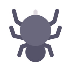 spider flat icon