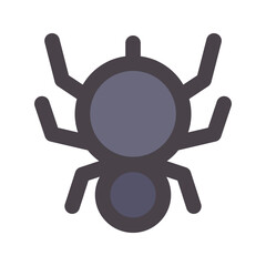 spider flat line icon