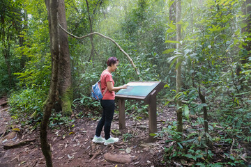 Female tourist reading a information board sign with short info about  type of tree on trail.