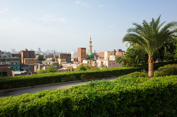 Fototapeta na wymiar Cairo city view from green Al Azhar Park, Egypt