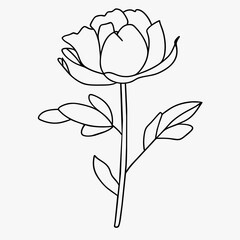 flower logo