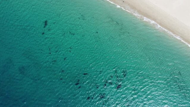 perfect cristal clear water at a white beach in bolonia near tarifa in spain, drone video