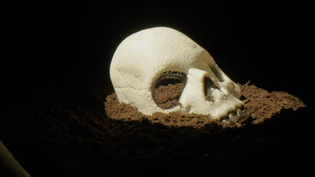 Rests of a skeleton found in the graveyard in the creepy Halloween night