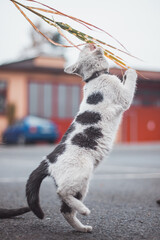 Fototapety na wymiar - Fototapeta24.pl