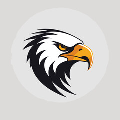 Minimalist logo featuring the sharp eyes of an eagle. Vector illustration AI eps file