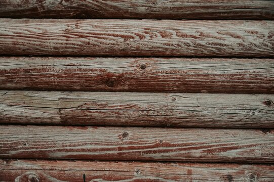 Rustic wooden background featuring a textured, weathered bark.