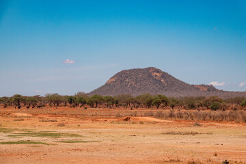 Scenic view of arid landscapes with acacia trees against sky at Tsavo West National Park, Kenya