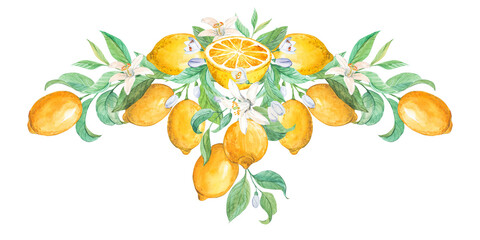 Composition of ripe lemons and green leaves. Watercolor illustration in Provence style, limoncello label design. Yellow exotic fruits, a source of phytamines. Retro style.