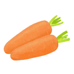 ニンジンのイラスト