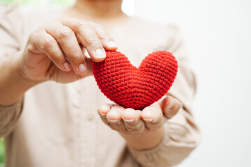 Asian woman holding human internal organ model, donation charity volunteer concept.