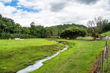 Fototapeta na wymiar Green fields and meadows in the countryside of Pomerode, Santa Catarina in Brazil