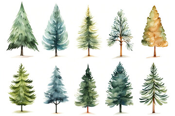 Obraz premium Festive Watercolor Christmas Tree Illustration on White Background