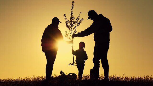Loving family with kid planting tree silhouettes in country field at dusk