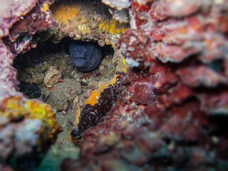 texture, rock, stone, nature, abstract, pattern, macro, food, closeup, wall, red, surface, water, old, brown, sea, summer, rough, natural, brick, sand