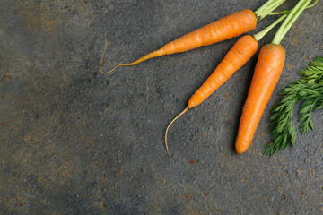 Fresh carrots on dark background