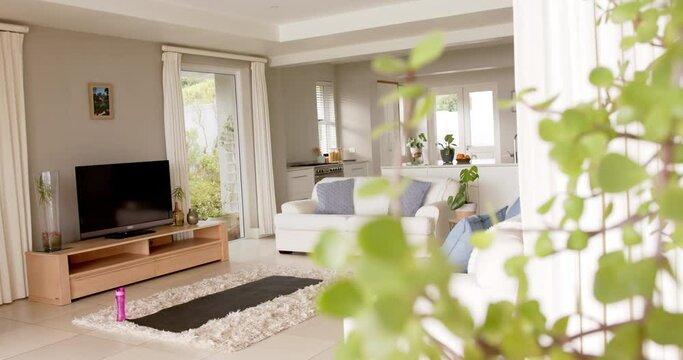 General view of light modern interiors with sitting room with sofa and tv, copy space, slow motion