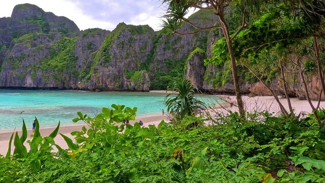 Phi Phi island off the coast of phuket thailand. Phi phi island is famous for turquoise clear blue waters teaming with Corel reef fish white soft sand and lush green trees.
