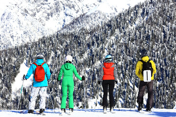 four friends skiing back view, group vacation winter landscape panorama nature