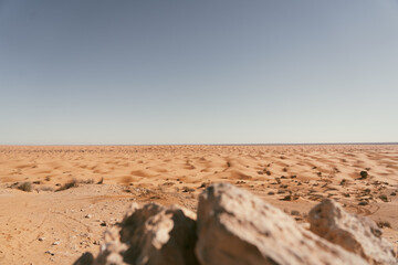 Sahara desert