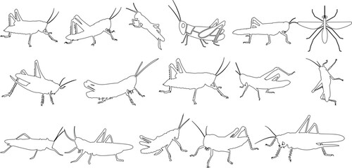 Grasshopper, Line Art, Vector Illustration: A captivating collection of unique grasshopper line art drawings. Each grasshopper is meticulously crafted, showcasing different poses and directions