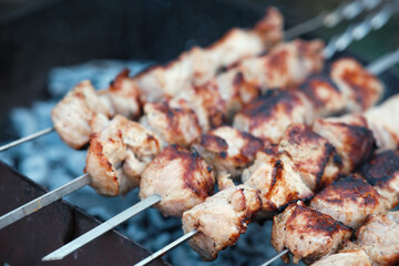 Cooking barbecue pork meat on smoking coals. Shish kebab on the grill.