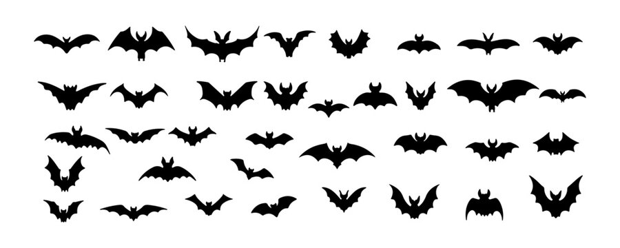 Halloween bat silhouette isolated on white background. Vector illustration