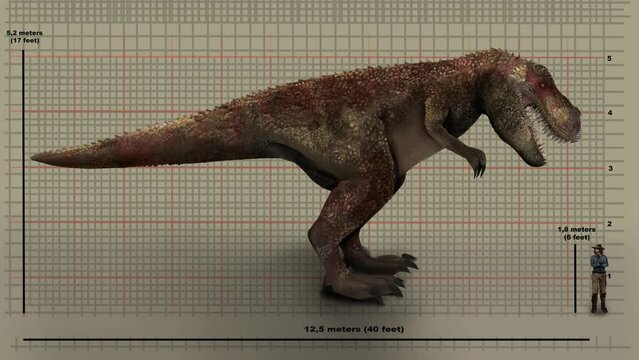 Animated T-Rex Dinosaur Against Height Chart.