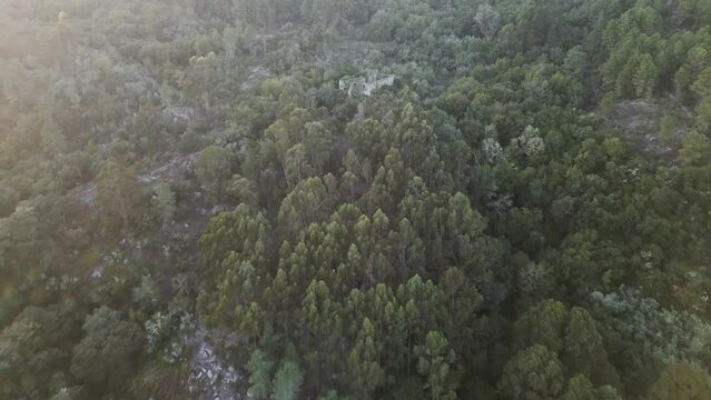 Aerial establish dolly of monasterio santa comba de naves, ourense, galicia, spain