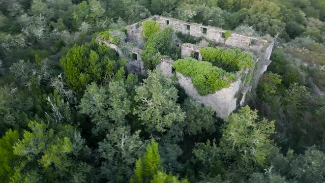Vegetation overgrown on Monasterio Santa Comba de Naves, ourense, galicia, spain